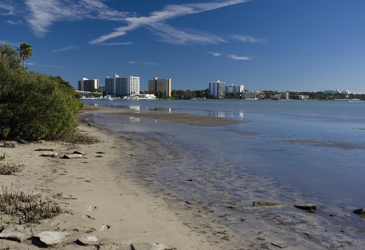 Clearwater Beach preview 4