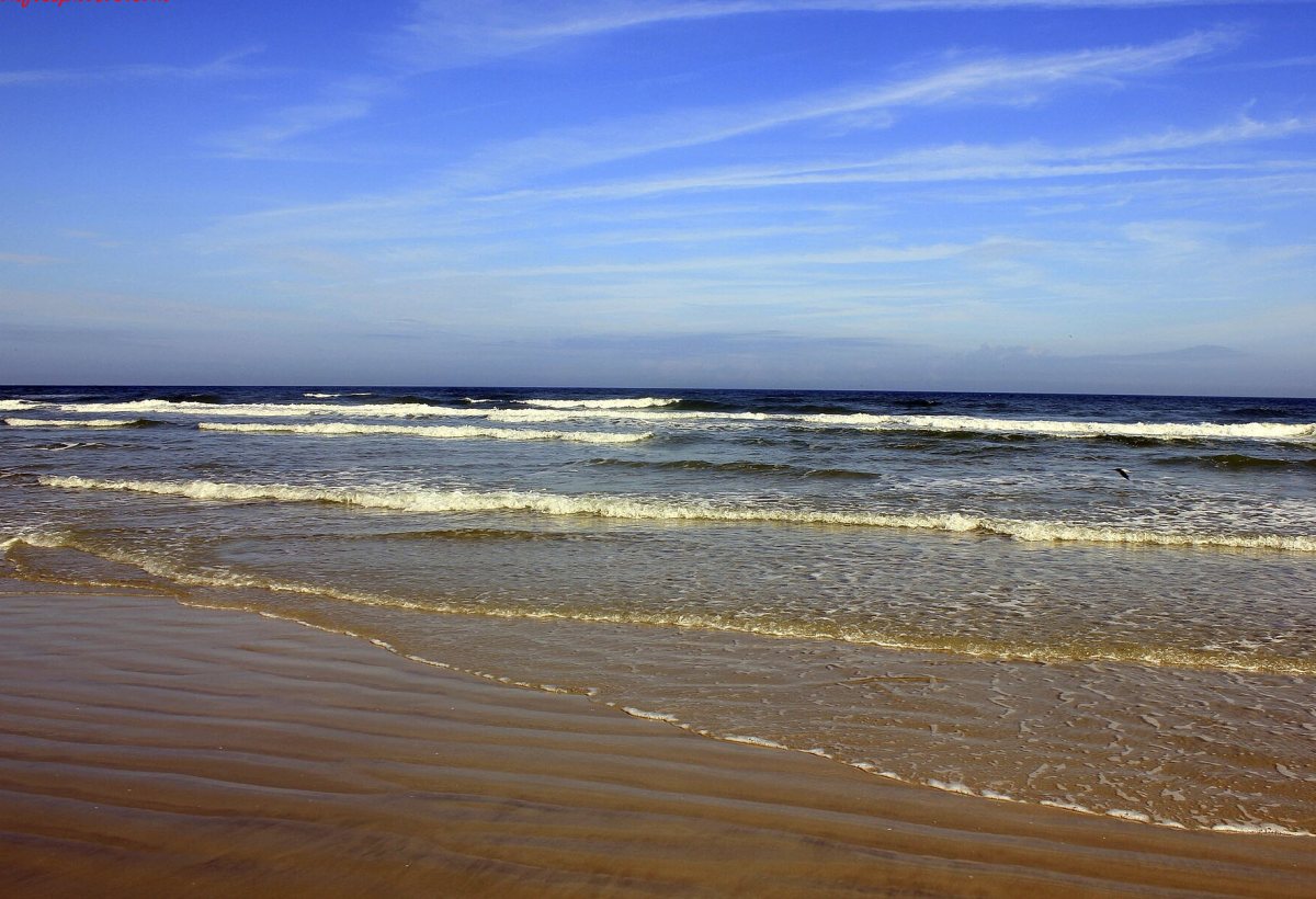 Daytona Beach preview 1