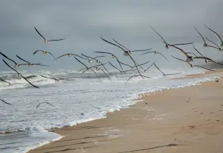 Daytona Beach photo 1