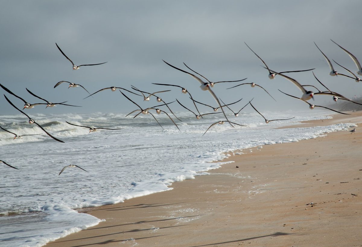 Daytona Beach photo 5