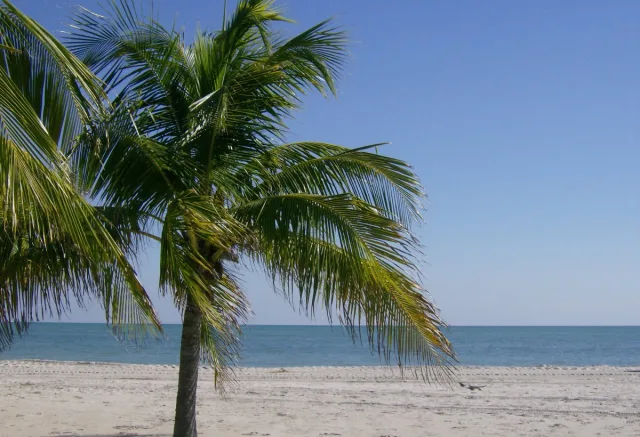 Hobie Island Beach Park