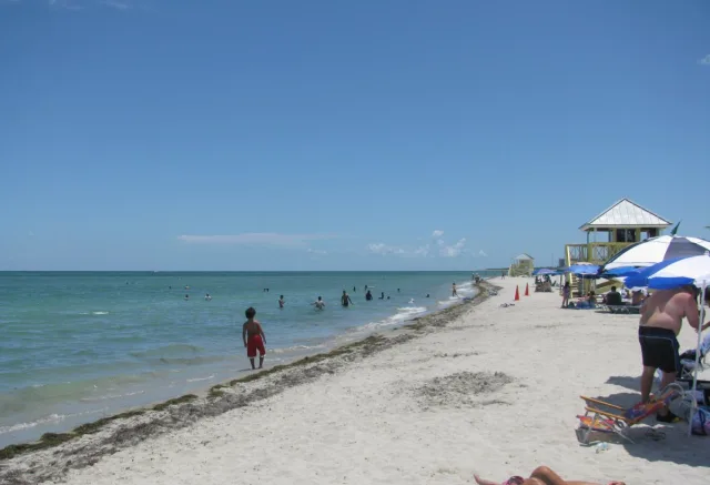 Sandy's Beach