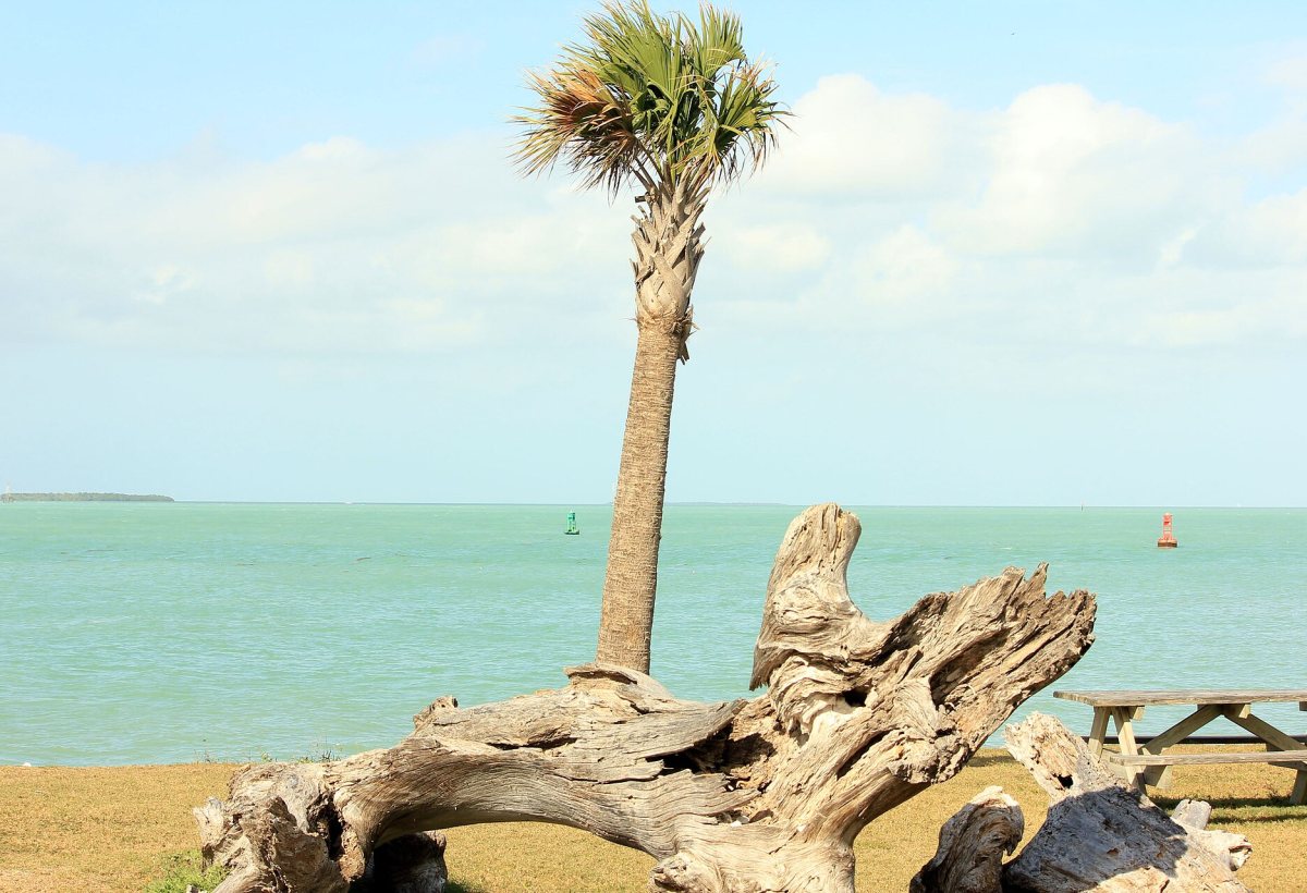 Key West Beaches preview 4