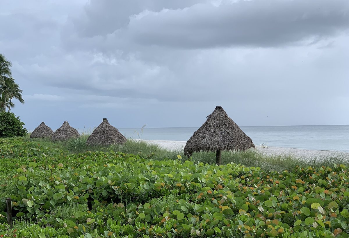 Naples Beach photo 5