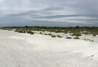 Bowman's Beach Park in Captiva, FL beach photo
