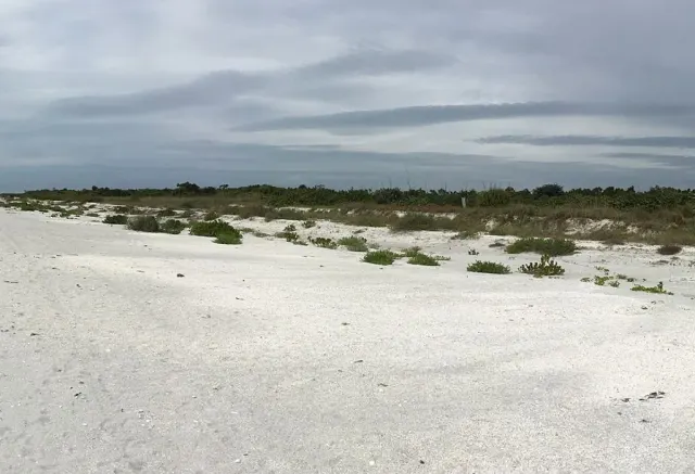 Bowman's Beach Park