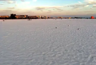 Crescent Beach in Siesta Key, FL beach photo