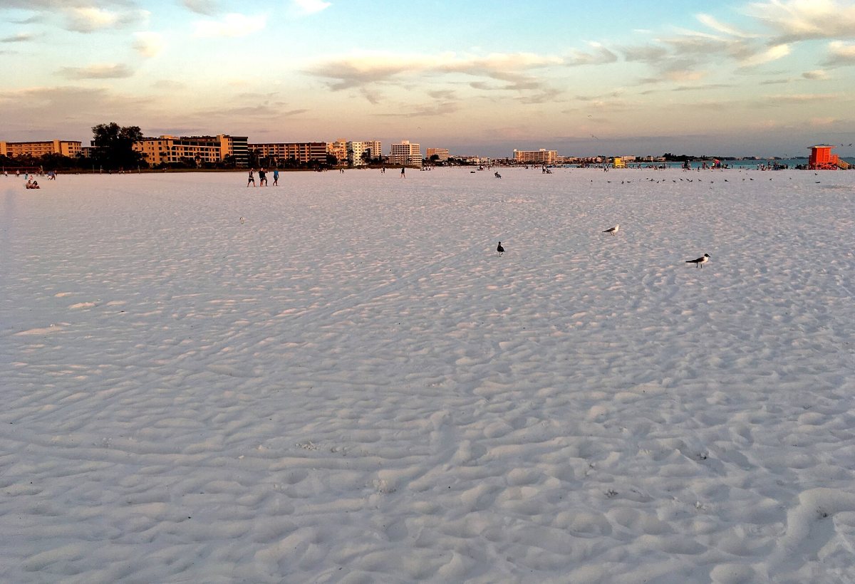 Siesta Key Beach preview 1