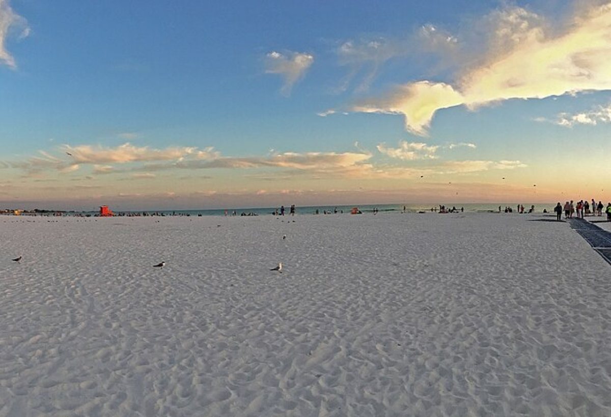 Siesta Key Beach preview 2