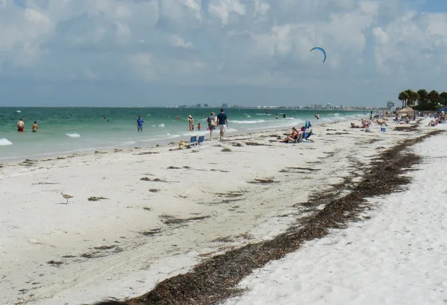 Bahama Beach