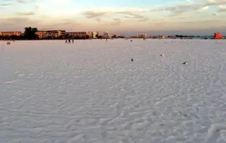 Siesta Key Beach in Siesta Key, FL beach photo