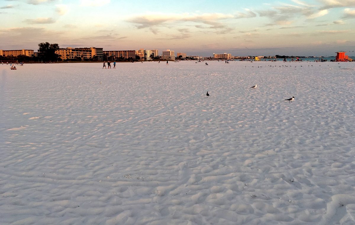 Siesta Key Beach