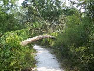 Silver Springs State Park (Main Entrance) in Silver Springs, FL park photo
