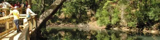 Leon Sinks Geological Area in Tallahassee, FL park photo