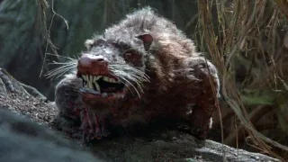 The Princess Bride movie photo 9