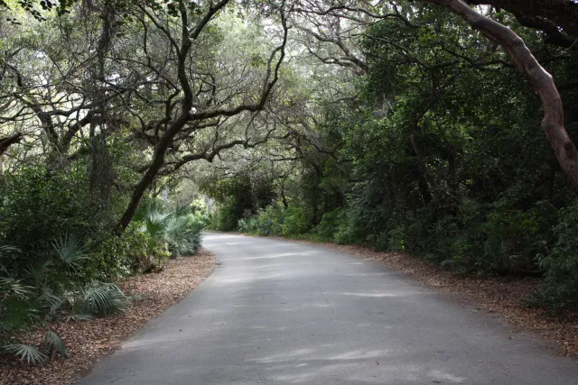 Greynolds Park