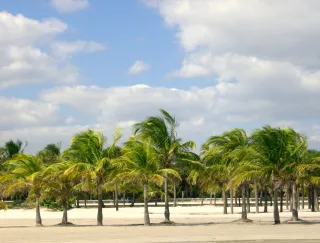 Crandon Park in Key Biscayne, FL park photo