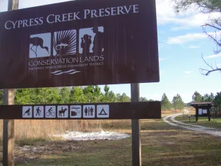 Cypress Creek Preserve in Land O' Lakes, FL park photo