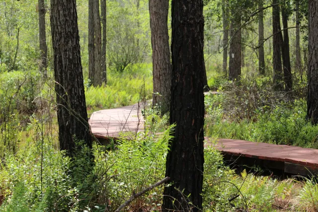 Prairie Creek Preserve