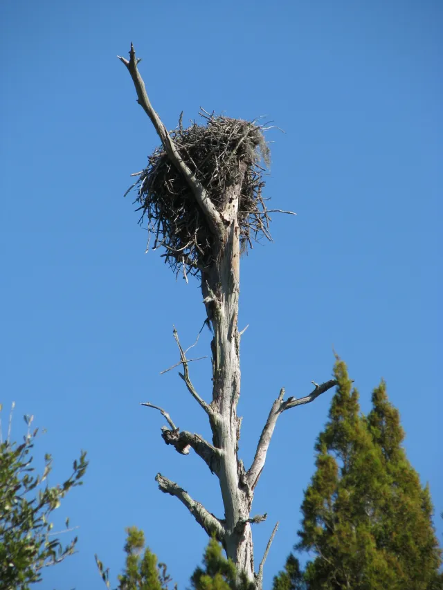 Tomoka State Park