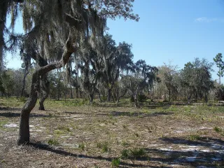 Lake Manatee State Park in Bradenton, FL park photo