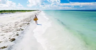 Dunedin Beach in Clearwater, FL beach photo