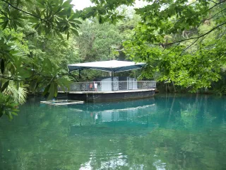 Ellie Schiller Homosassa Springs Wildlife State Park in Homosassa, FL park photo