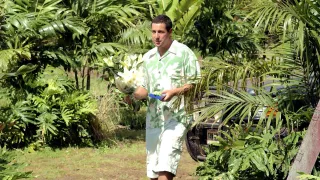50 First Dates movie photo 7
