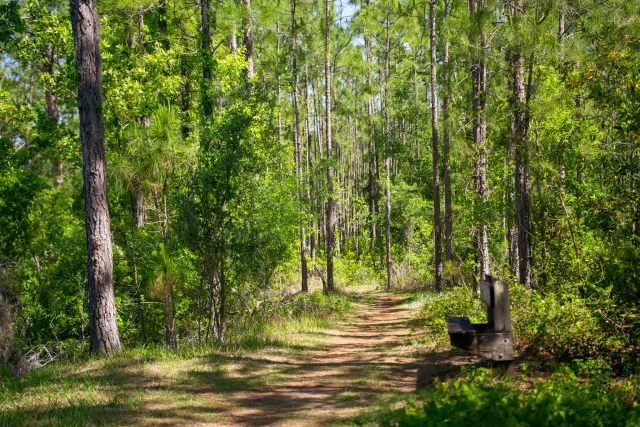 Sun 'n Lake Preserve