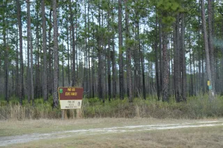 Pine Log State Forest in Panama City Beach, FL park photo