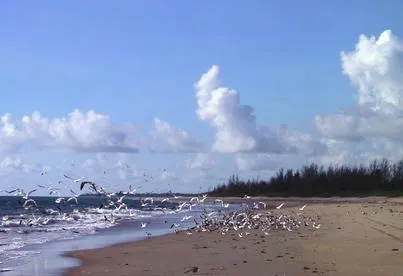Saint Lucie Inlet Preserve State Park