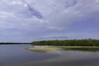 J N Darling National Wildlife Refuge in North Fort Myers, FL park photo