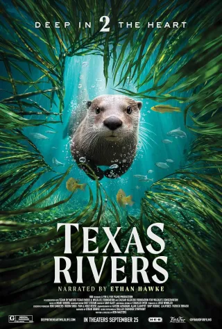 Movie poster for Deep in the Heart II: Texas Rivers