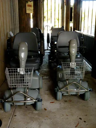 Brevard Zoo in Melbourne, FL attraction photo