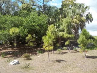 Indian Mound Park in Gulfport, FL park photo