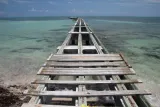 Higgs Beach preview 1