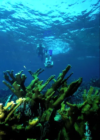 Biscayne National Park in Homestead, FL park photo