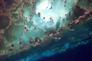 Windley Key Fossil Reef Geological State Park in Islamorada, FL park photo