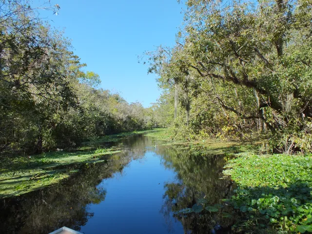 Lake Woodruff National Wildlife Refuge