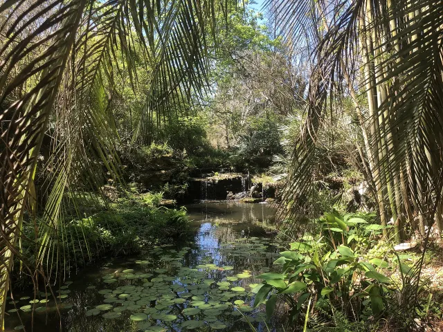 Kanapaha Botanical Gardens