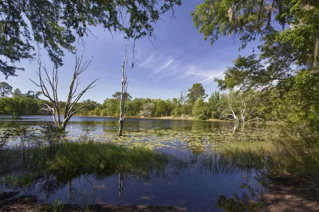 Apalachee Wildlife Management Area