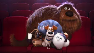 The Secret Life of Pets movie photo 6