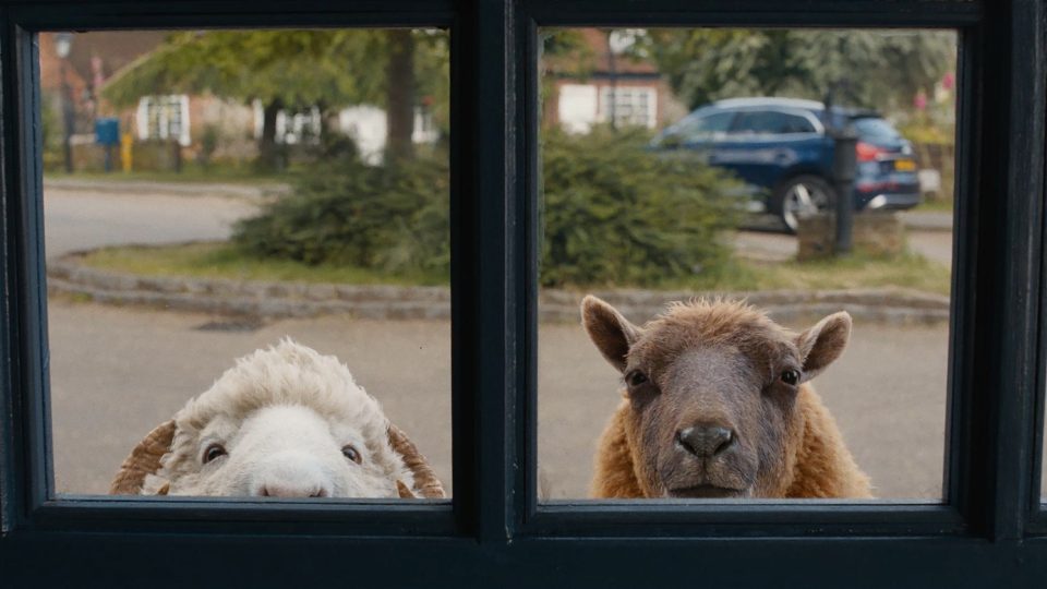 The Sheep Detectives movie photo 6