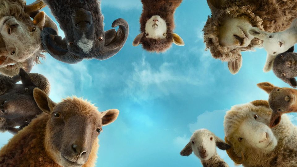 The Sheep Detectives movie photo 3