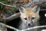 Timucuan Ecological & Historic Preserve preview 4
