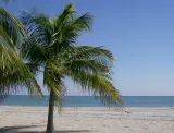 Tahiti Beach preview 1