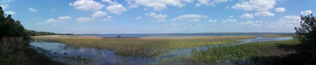 Lake June-in-Winter Scrub State Park