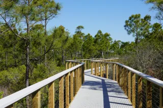 Gulf Islands National Seashore photo 1