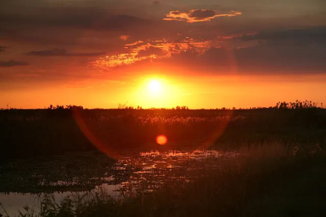 Loxahatchee National Wildlife Refuge