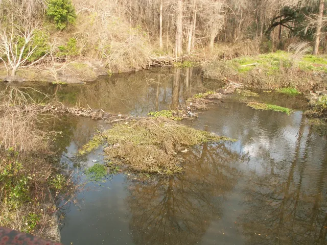 Anita Davis Preserve at Henrietta Lake Park